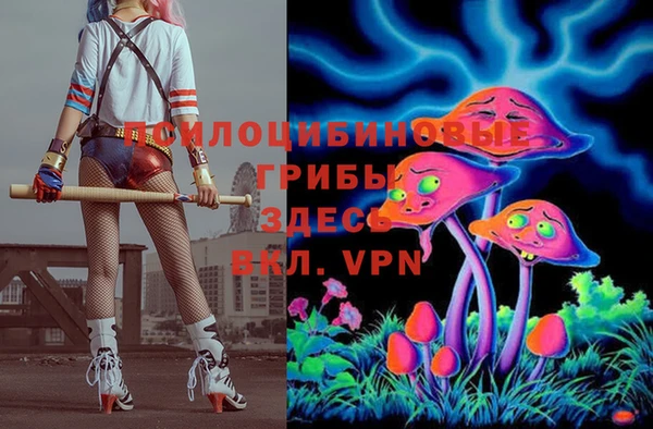 мет Армянск