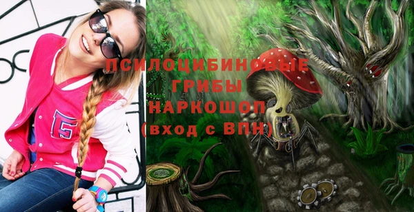 спиды Арсеньев