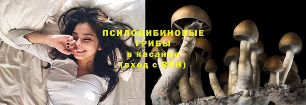 ешки Алексин