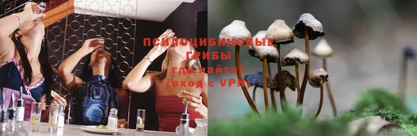 спиды Арсеньев