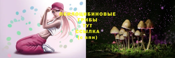 индика Алзамай