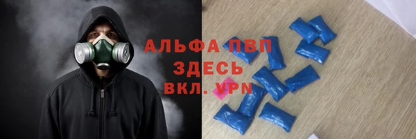индика Алзамай