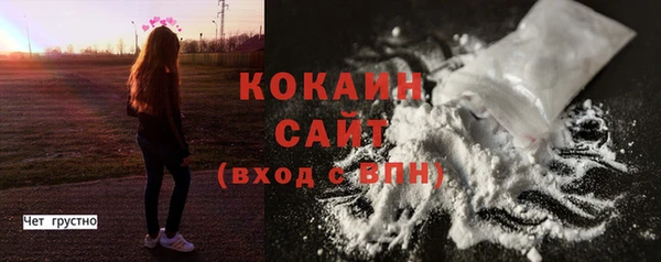 гашик Аркадак