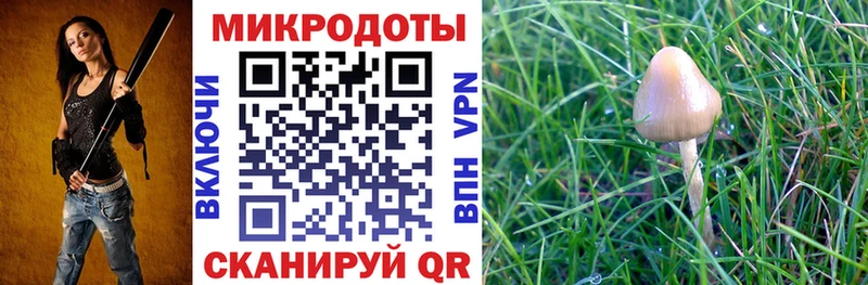 Псилоцибиновые грибы Magic Shrooms  купить  сайты  Хотьково 